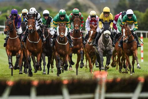 Latest Cambridge Horse Racing Results .